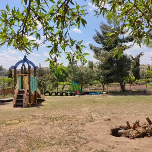 Inicio 8 b336457d-bf2c-4f54-b419-59f053b4c981